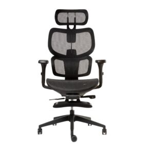 Sillón Ergohuman Plus
