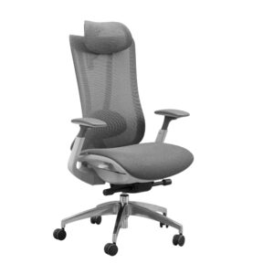 Silla Ergonómica Modelo Rock Plus