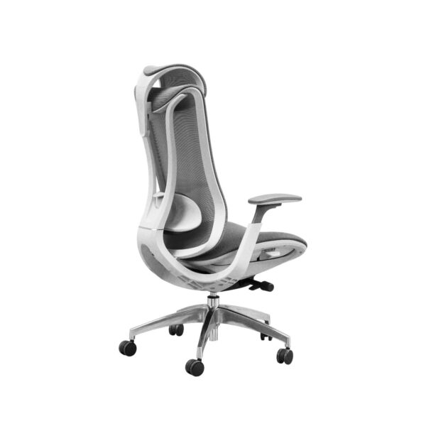 Silla Ergonómica Modelo Rock Plus - Imagen 2