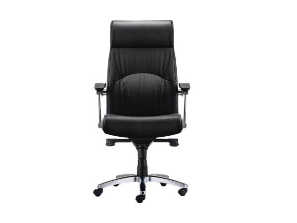 Sillón Ergonómico Ejecutivo Noa - Imagen 2