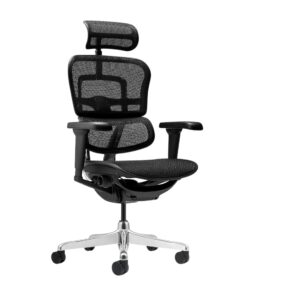 Sillón Ergohuman Ultra Brazos 4D