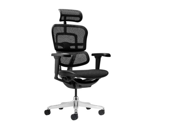 Sillón Ergohuman Ultra Brazos 4D